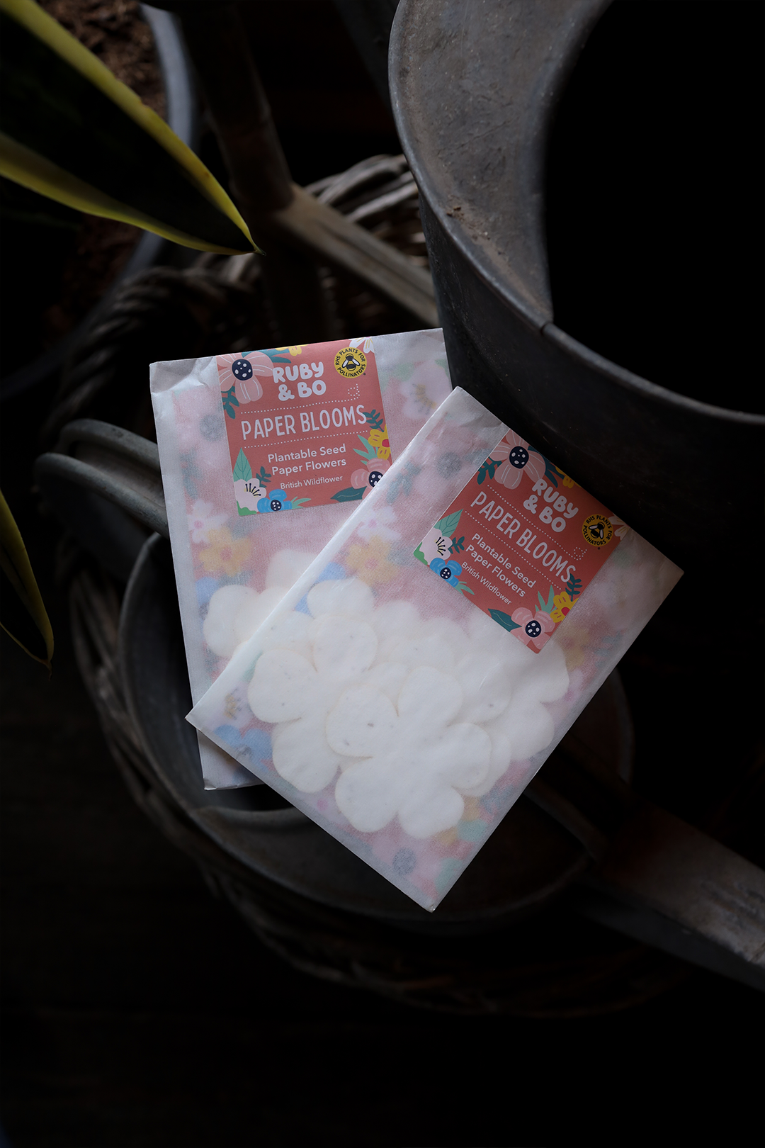 Paper Blooms! Plantable Paper Flowers