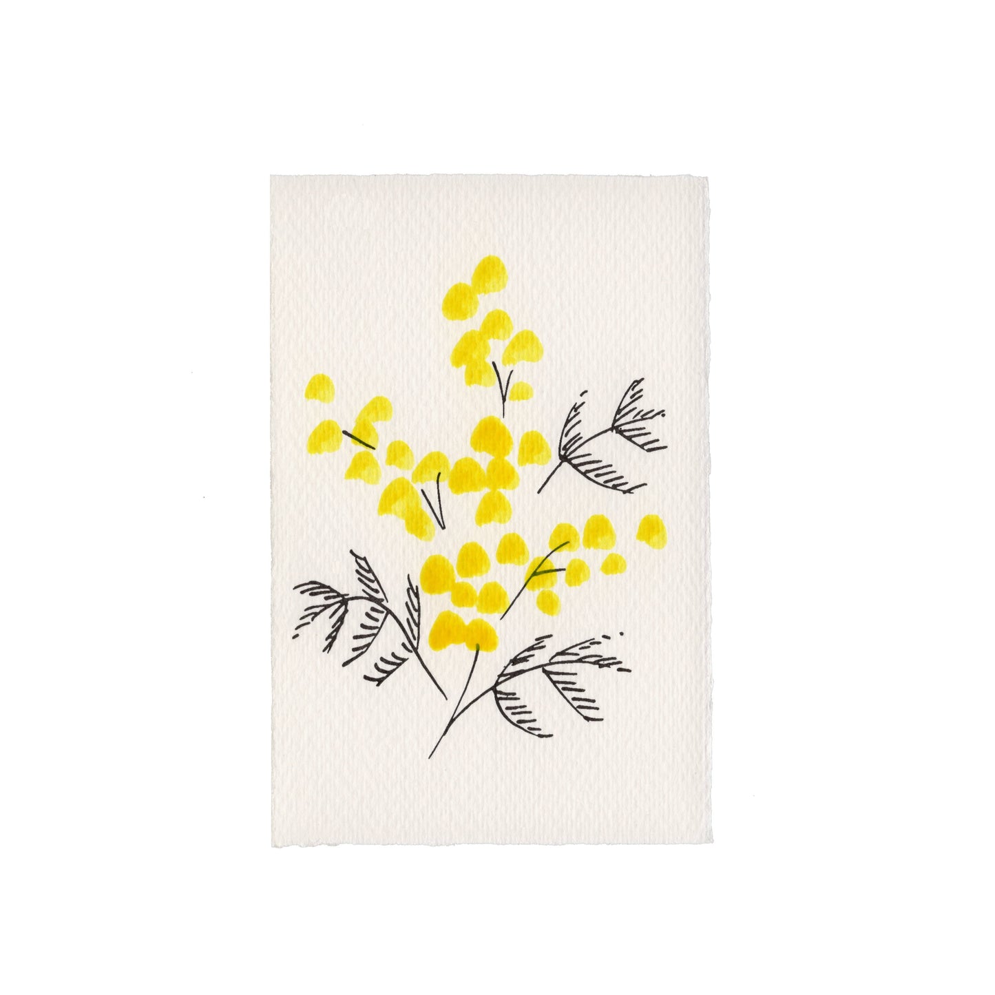Scribble & Daub Mimosa Card