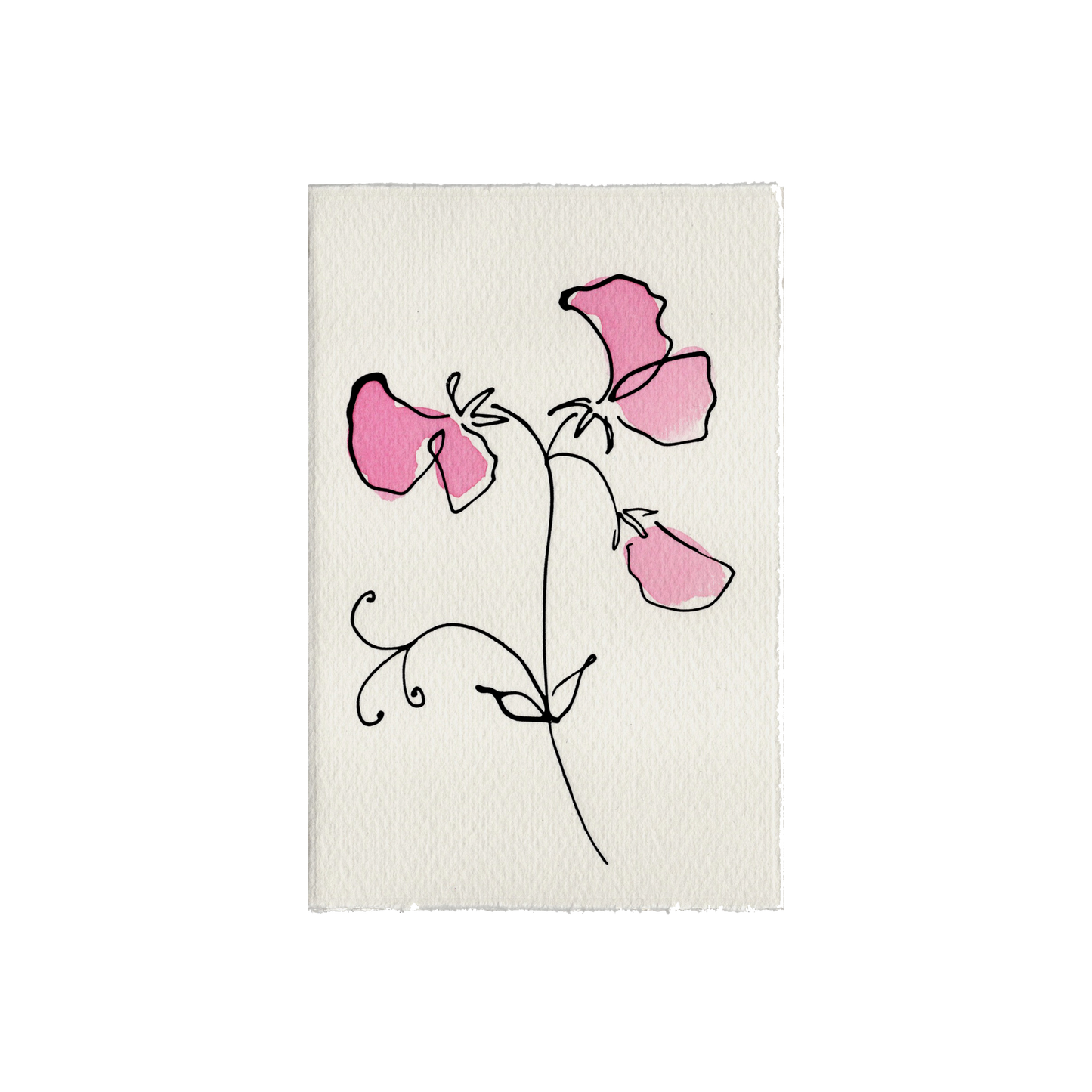 Scribble & Daub Sweet Pea Lilac