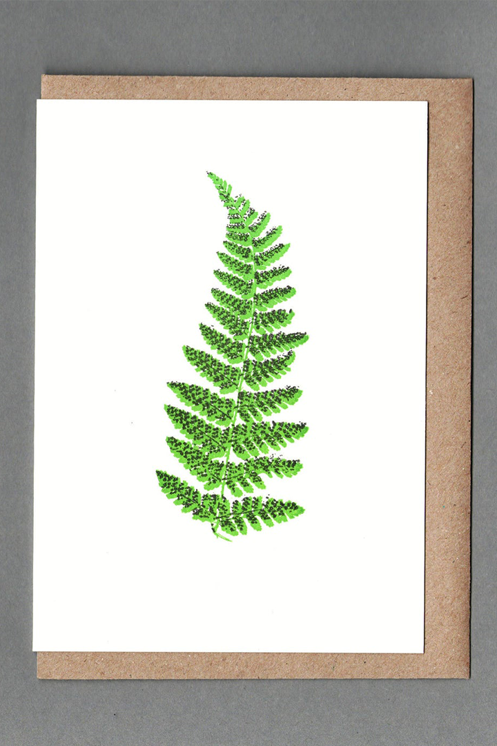 Fern - Letterpress Greeting Card