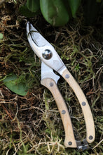 Load image into Gallery viewer, Little Veggie Patch Secateurs