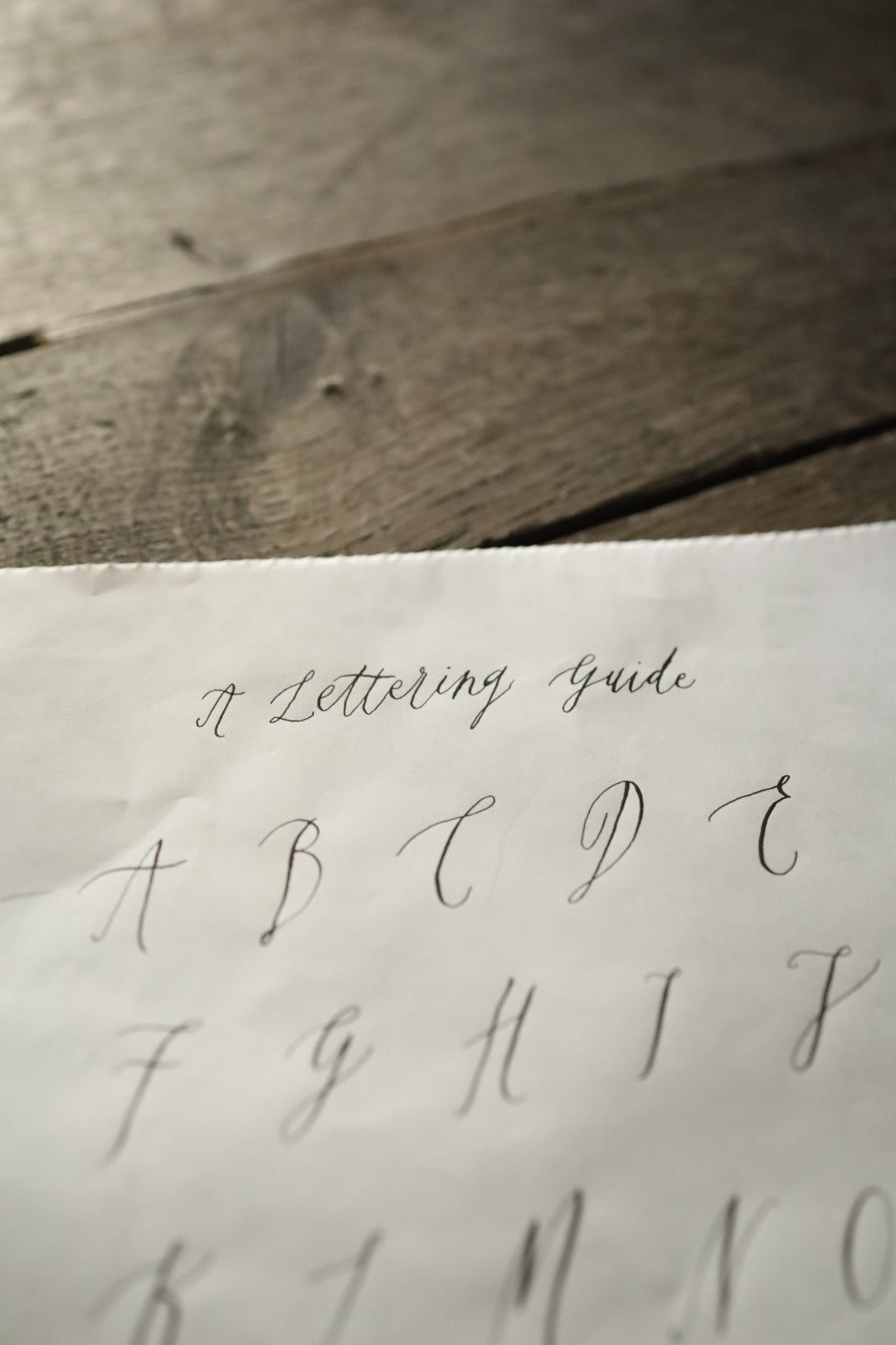 Nib & Ink Calligraphy with Hand Lettering Folk