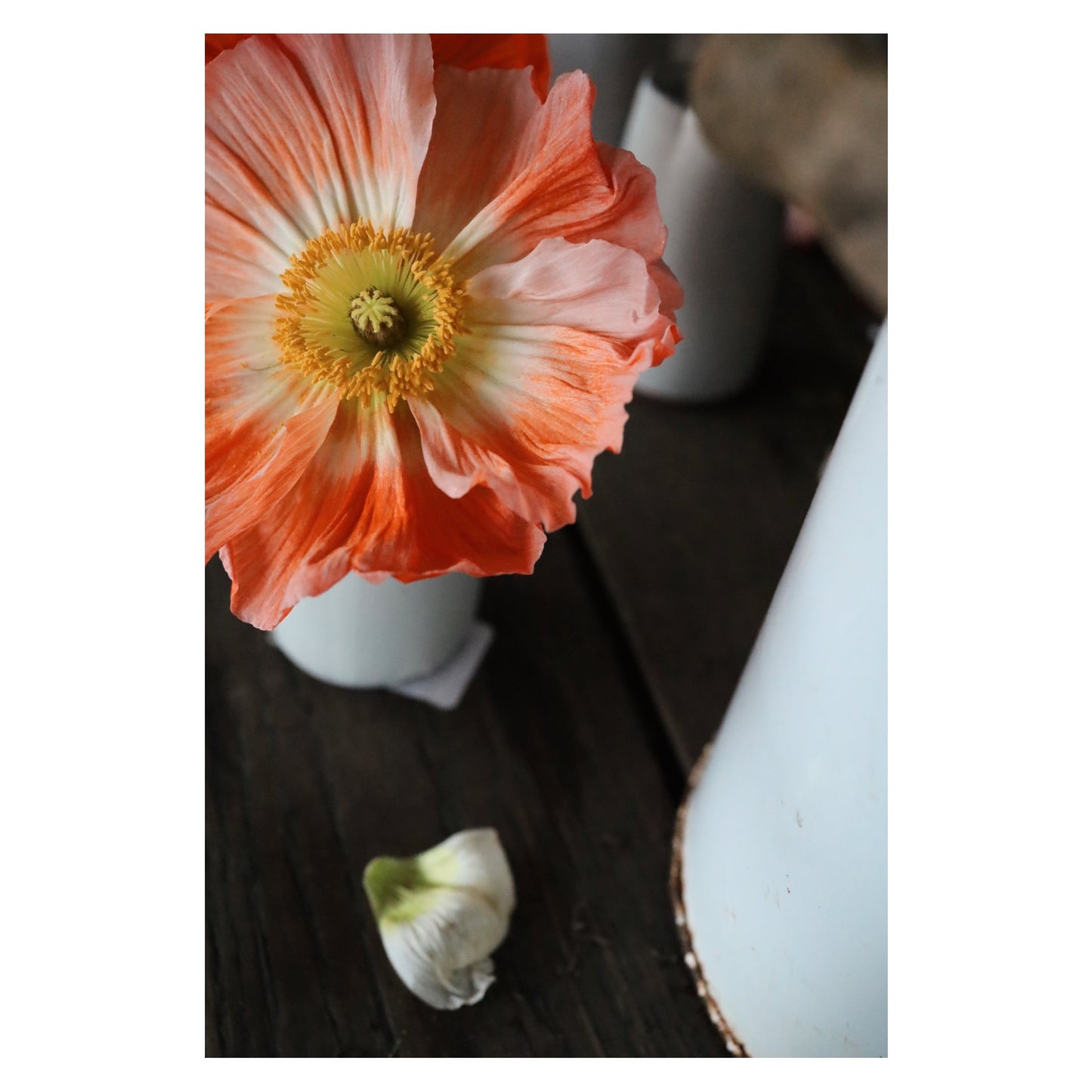 Play with Flora - Hūa & WN29 - Arrange/Print/Press/Paint