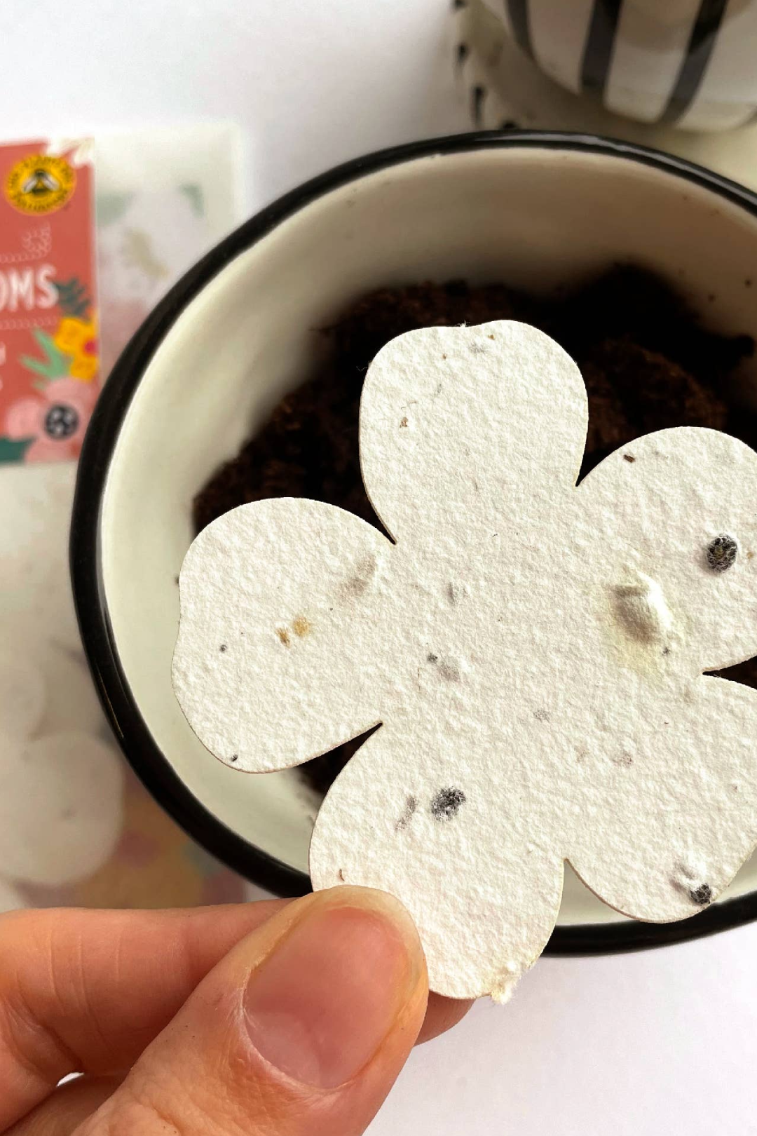 Paper Blooms! Plantable Paper Flowers