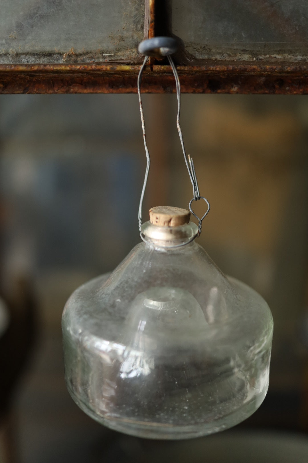 Wasp trap