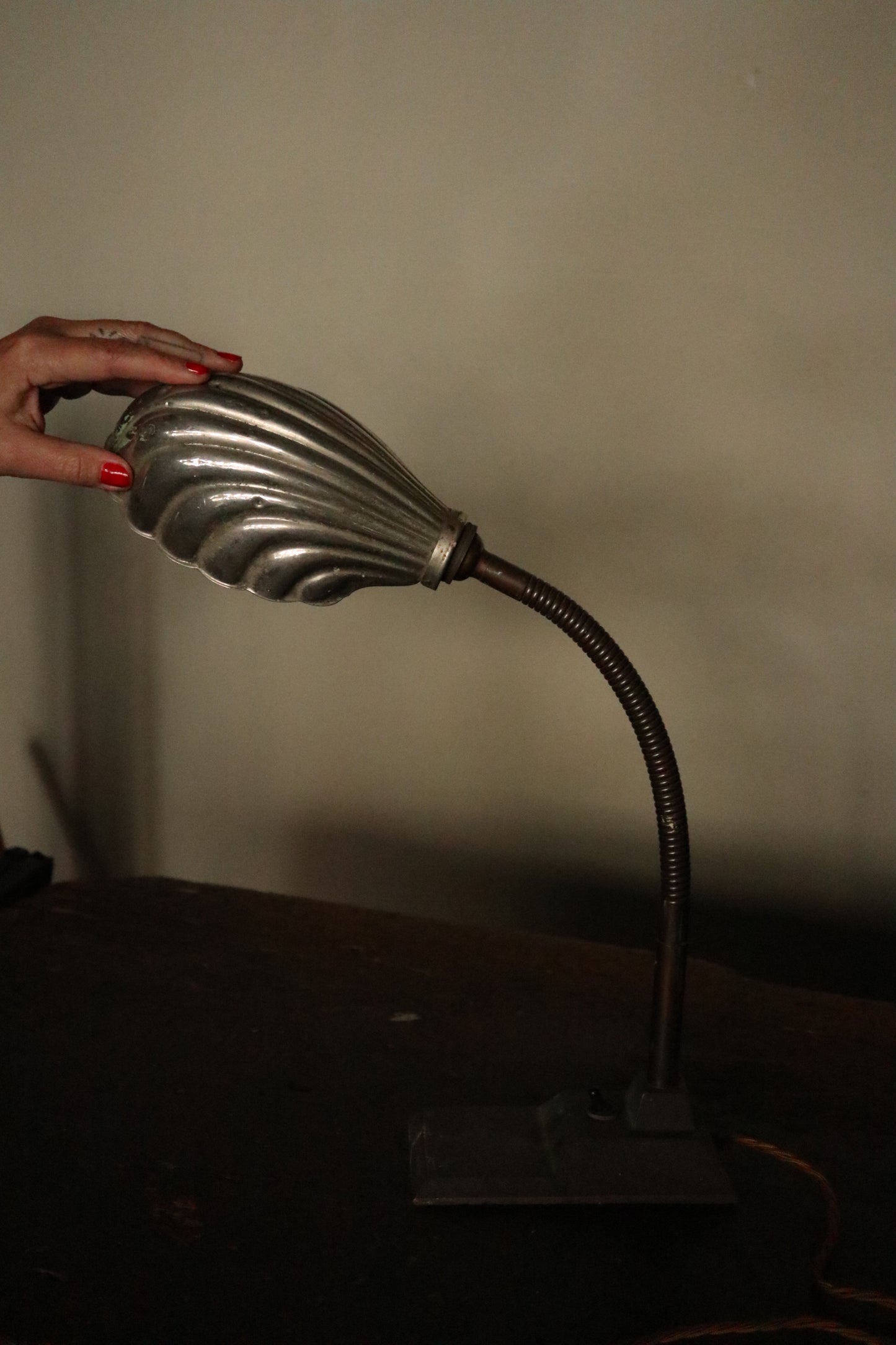 Clam Oyster Shell Goose Neck Desk Lamp