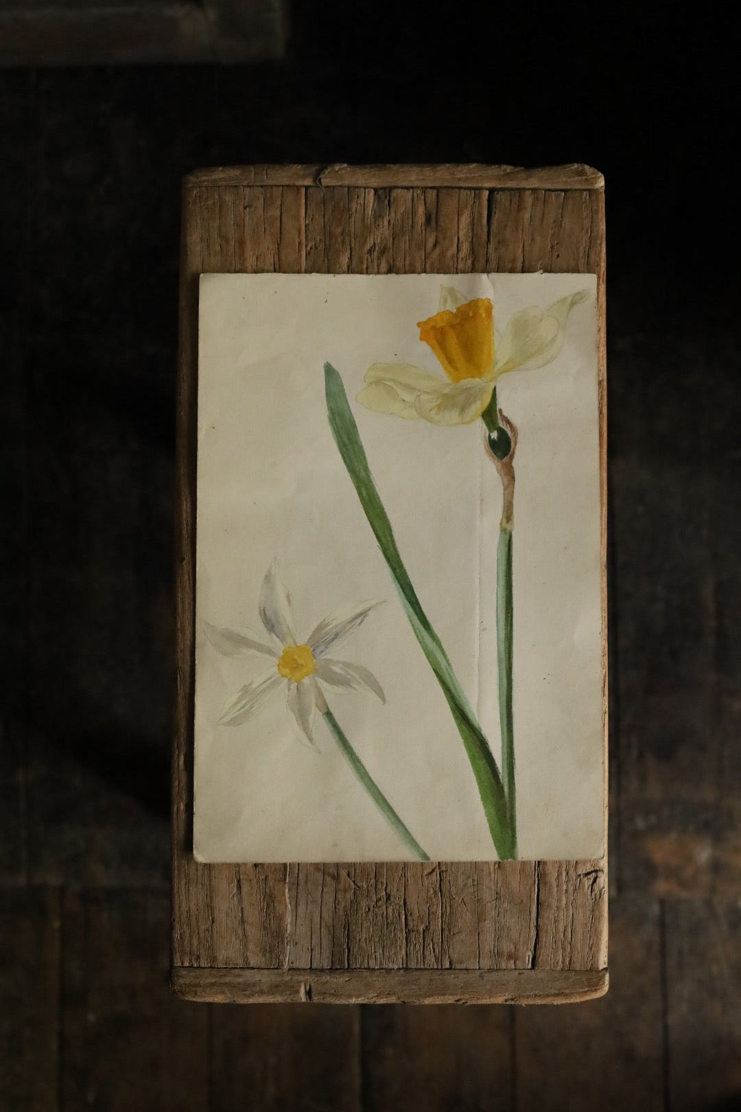Watercolour Flowers