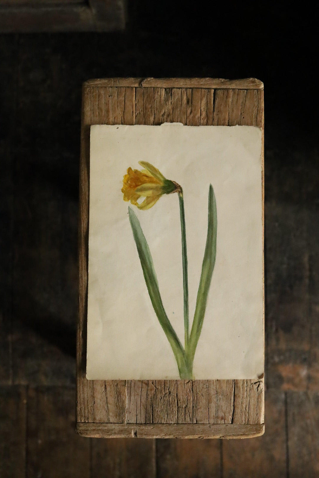 Watercolour Flowers