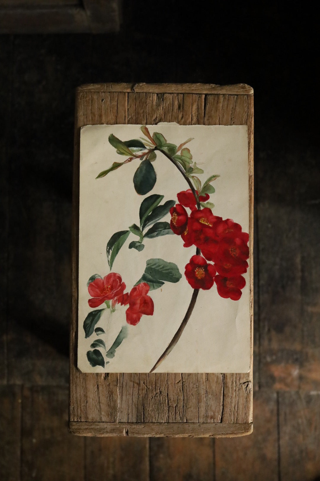 Watercolour Flowers
