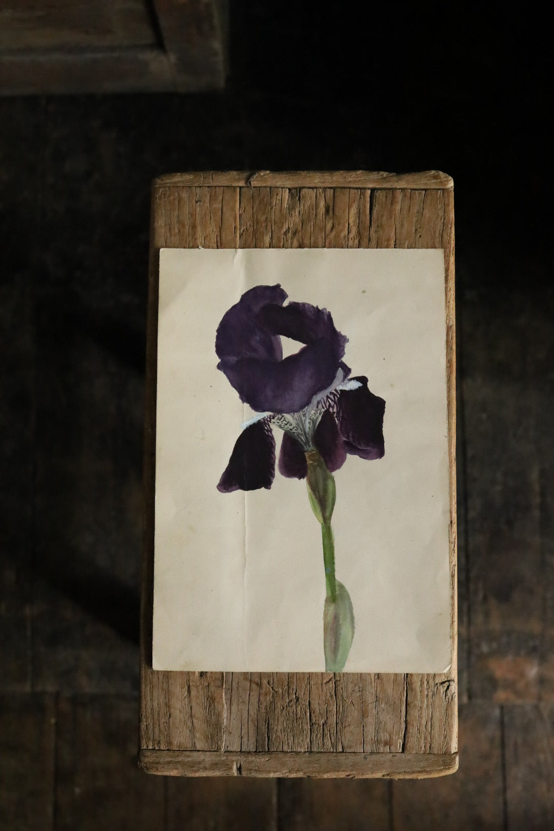 Watercolour Flowers