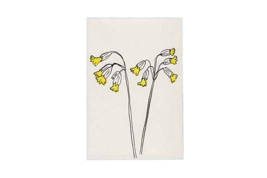 Scribble & Daub In the Meadow Cowslips