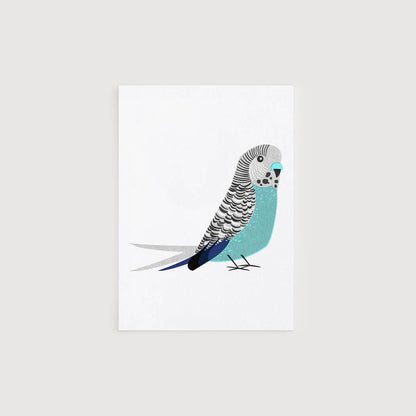 Quirky Characterful Green Budgie Humorous Birthday Mini Card: Blue