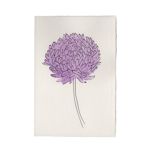 Scribble and Daub Aster Lilac