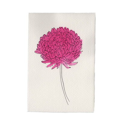 Scribble and Daub Aster Lilac