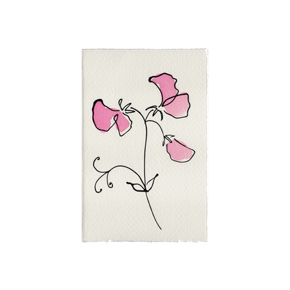 Scribble & Daub Sweet Pea Lilac