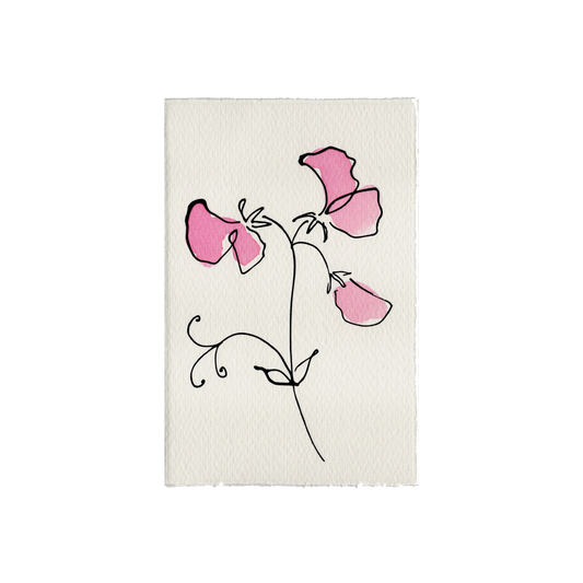 Scribble & Daub Sweet Pea Lilac