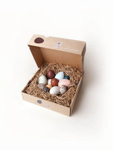 Load image into Gallery viewer, A Dozen Bird Eggs in a Box