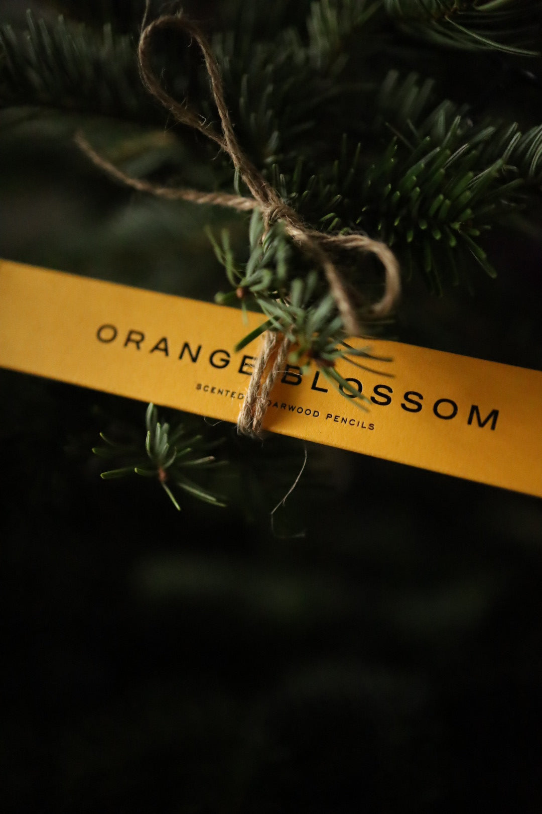 Imogen Owen Scented Cedarwood Pencils Orange Blossom