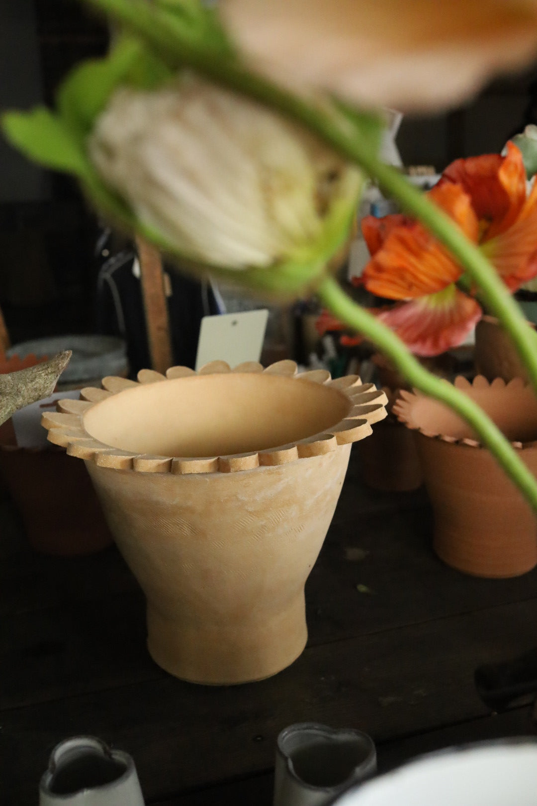 Rosa Bond hand thrown scalloped edge pot