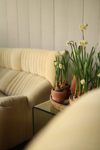 Michel Ducaroy for Ligne Roset 2 Seater
