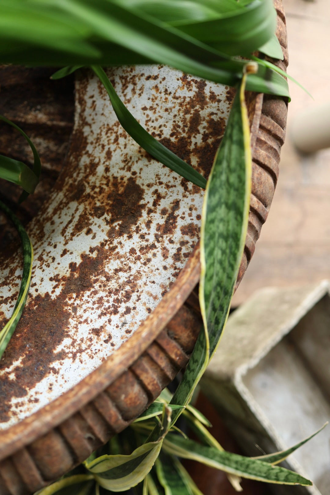 Cast Iron Urn - Pair