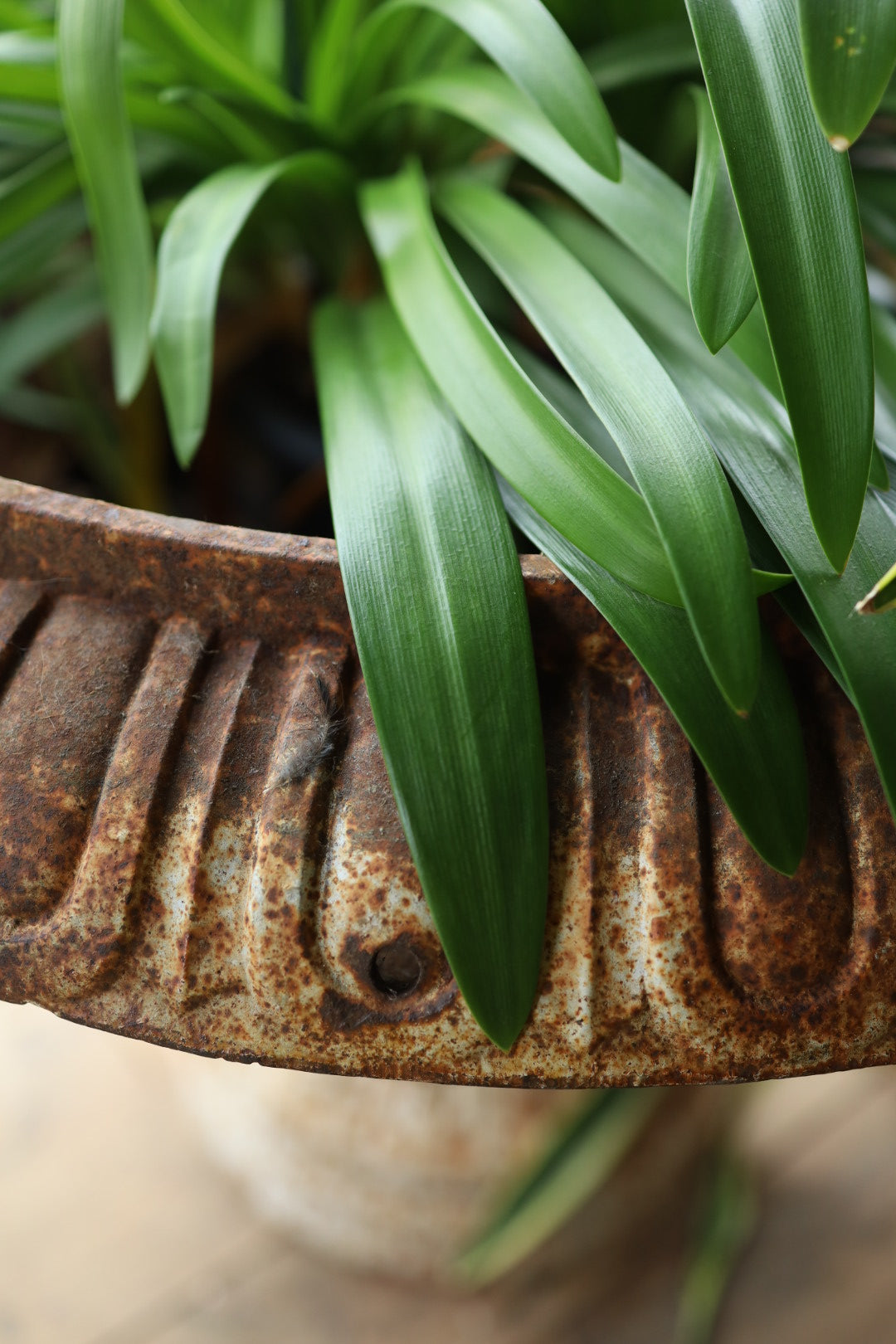 Cast Iron Urn - Pair