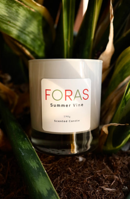 Foras Summer Vine