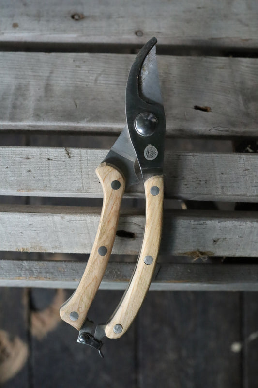 Little Veggie Patch Secateurs