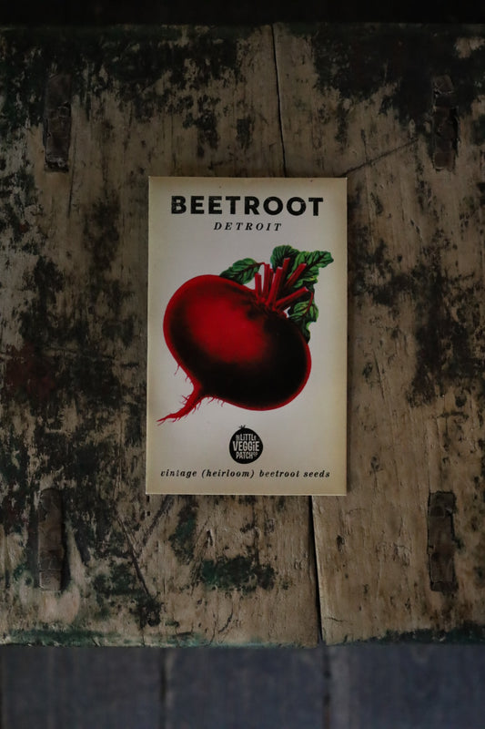 Little Veggie Patch Heirloom Seeds 'Detroit'