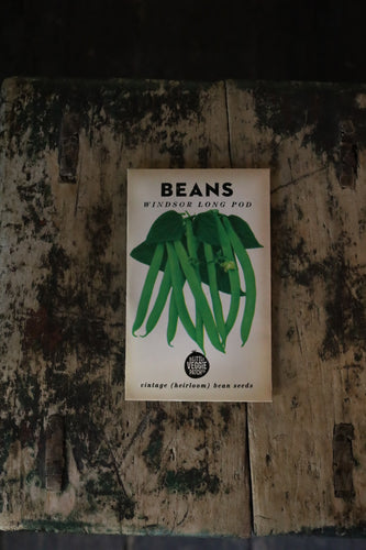 Little Veggie Patch Heirloom Seeds - Bean 'Windsor Long Pod'