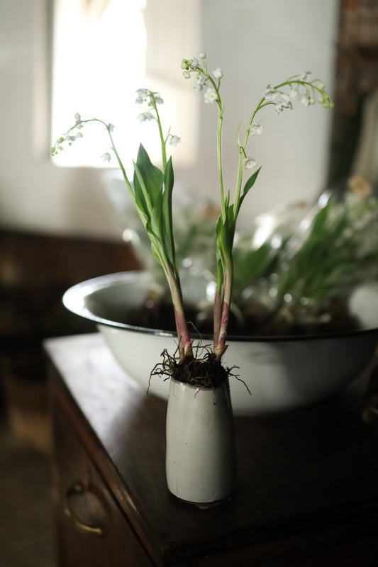 Rosa Bond Handmade Bud Vase