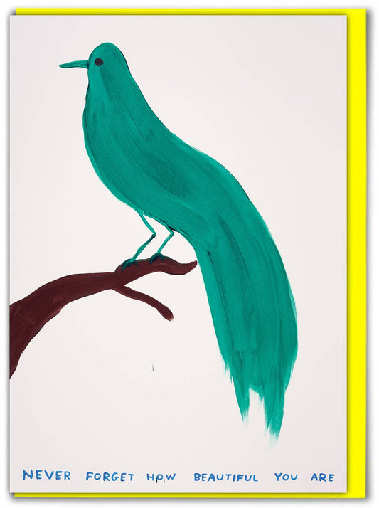 David Shrigley - Never Forget Beautiful Greetings Card