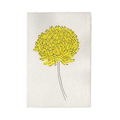 Scribble and Daub Aster Lilac