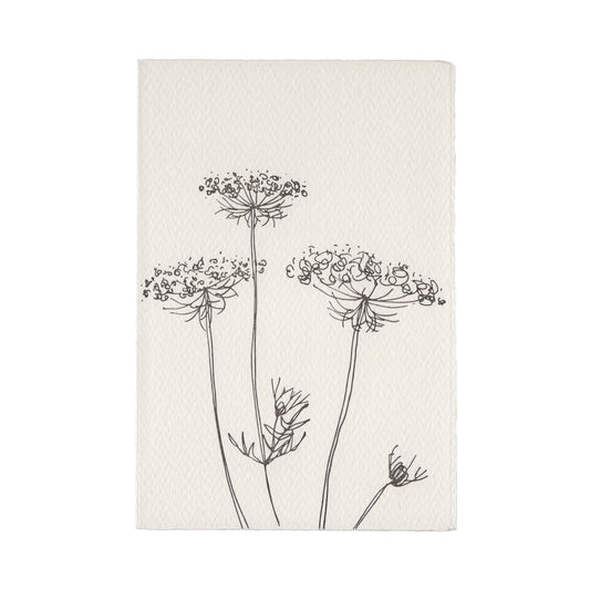 Scribble & Daub Queen Anne's Lace