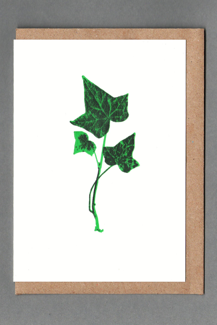 Ivy Letterpress Greeting Card