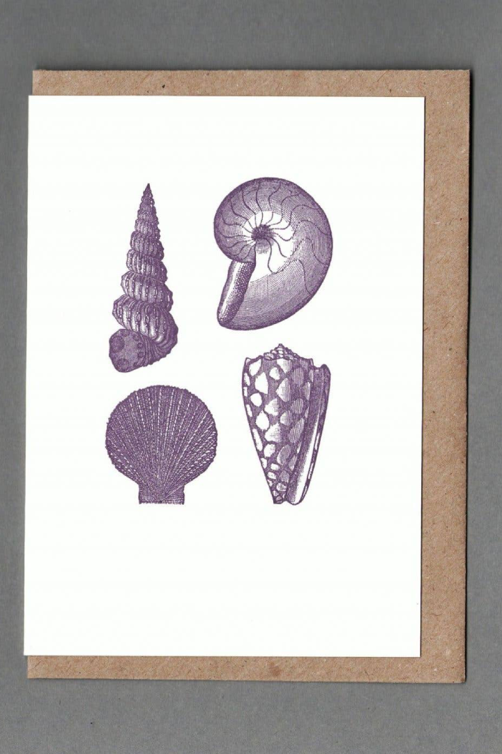 Shells. Letterpress Greeting Card, Eco Friendly: With cello