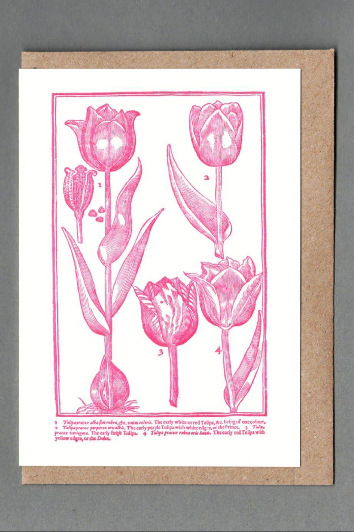 Tulips Letterpress Greeting Card