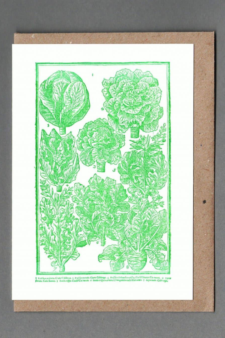 Cabbages Letterpress Greeting Card