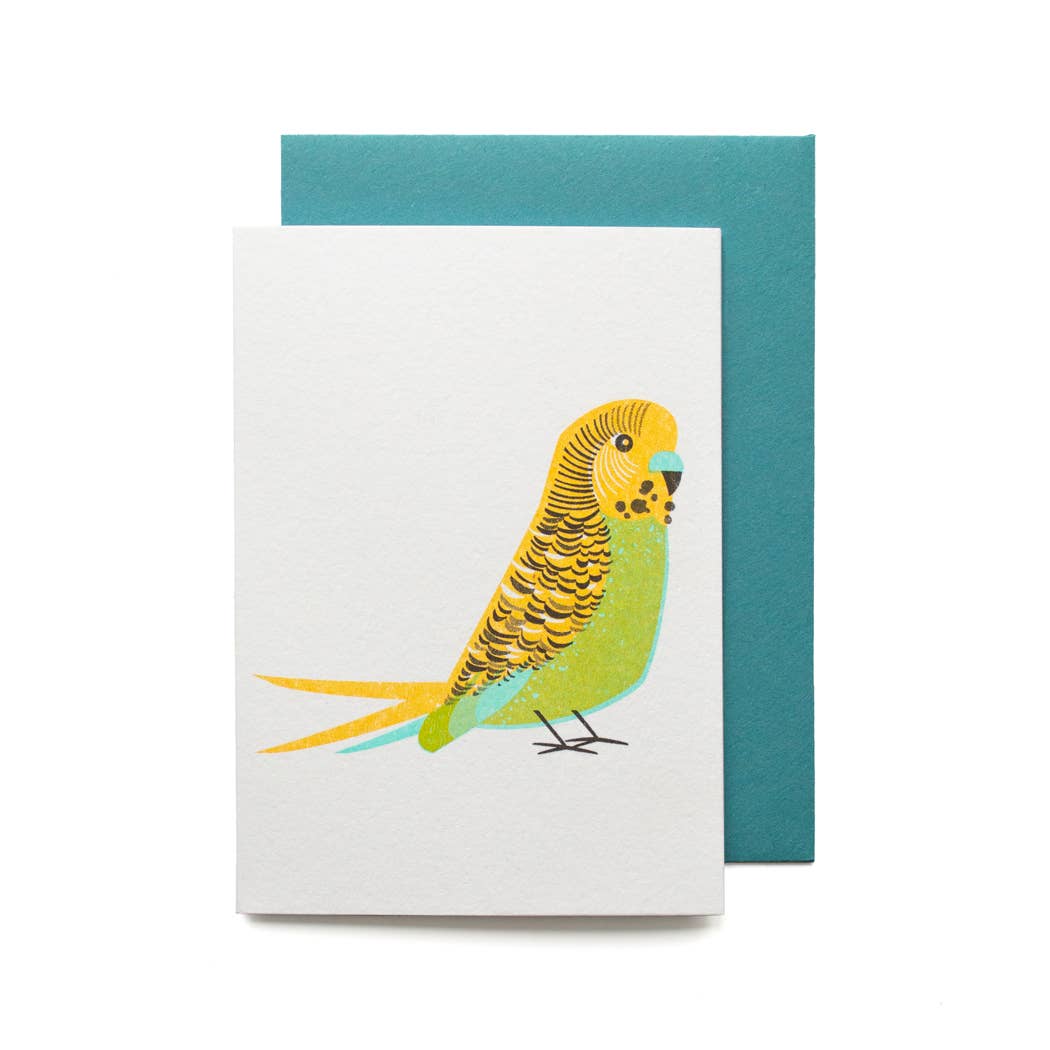 Quirky Characterful Green Budgie Humorous Birthday Mini Card: Green