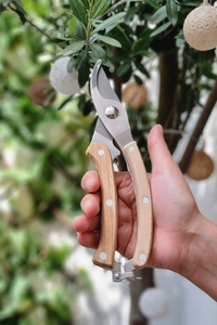 Botang Metal Pruning Shears with Wooden Handle