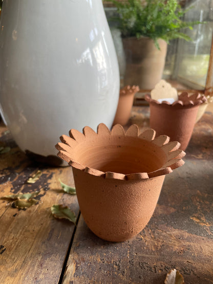 Rosa Bond hand thrown scalloped edge pot