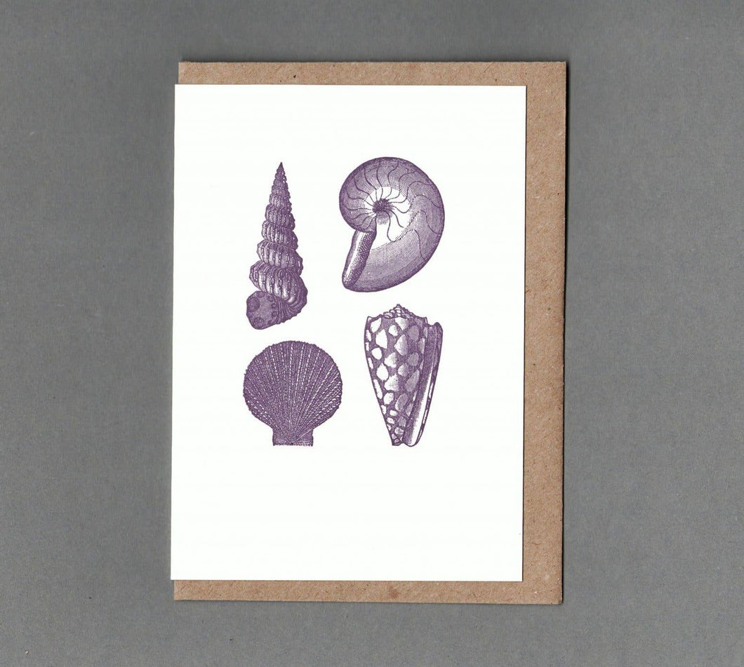 Shells. Letterpress Greeting Card, Eco Friendly: With cello