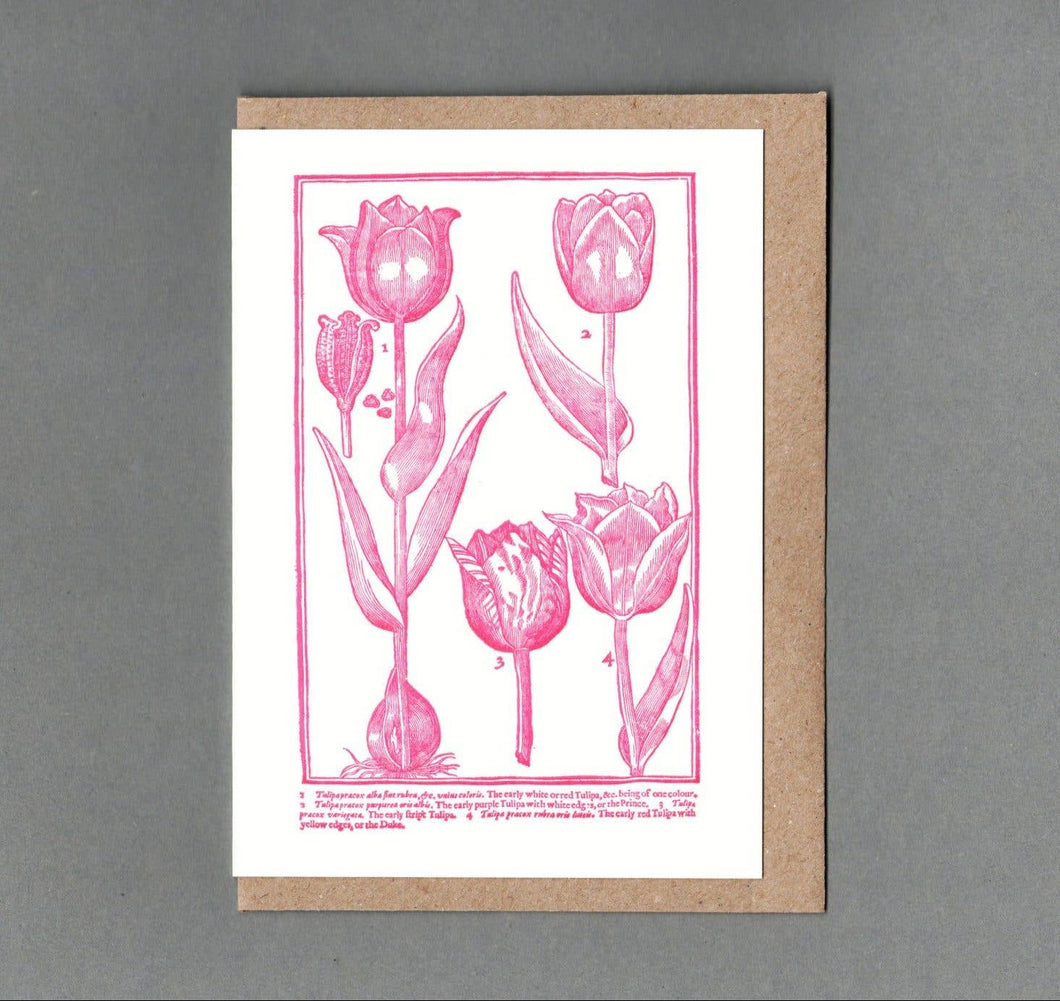Tulips. Letterpress Greeting Card, Eco Friendly: With cello