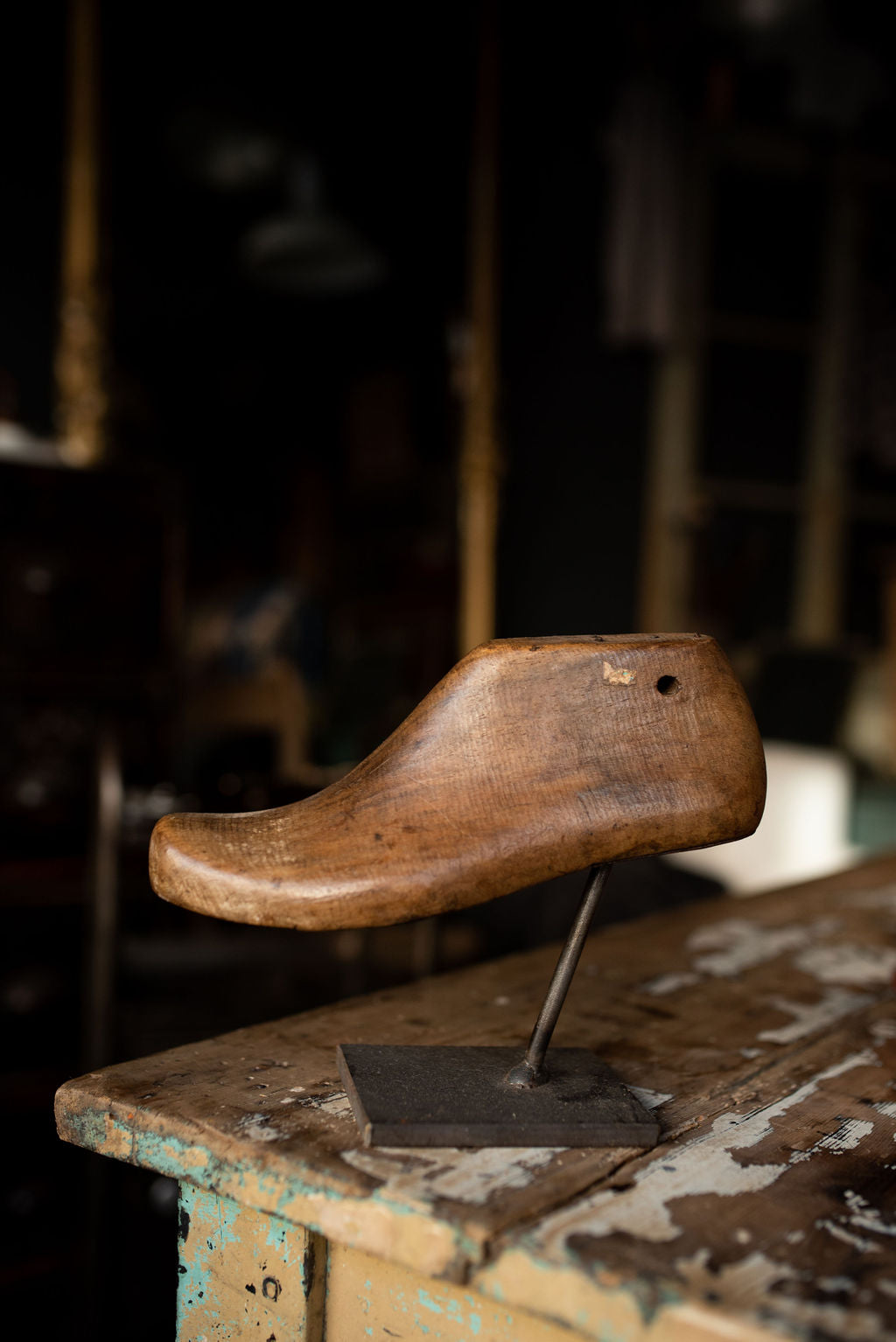 Mounted Shoe Lasts - Pair