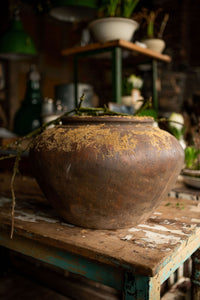 Large Terracotta Plant Pot
