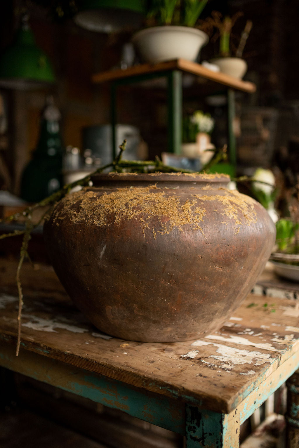Large Terracotta Plant Pot