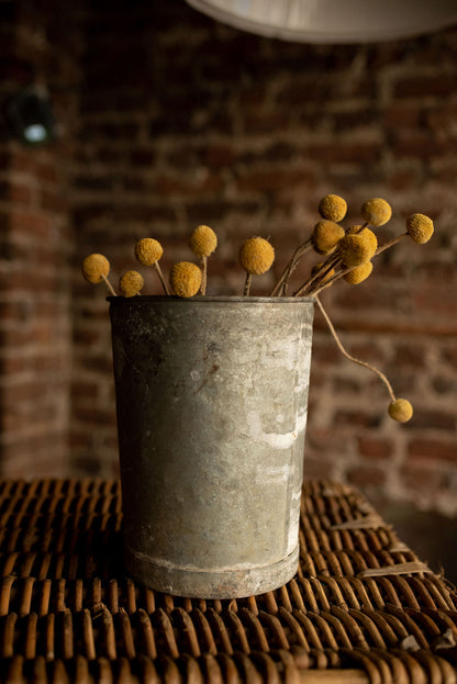 Galvanised Flower Bucket