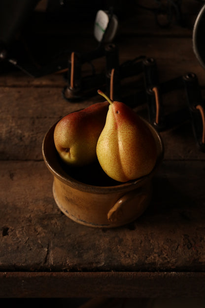 Mustard Pot with Handles