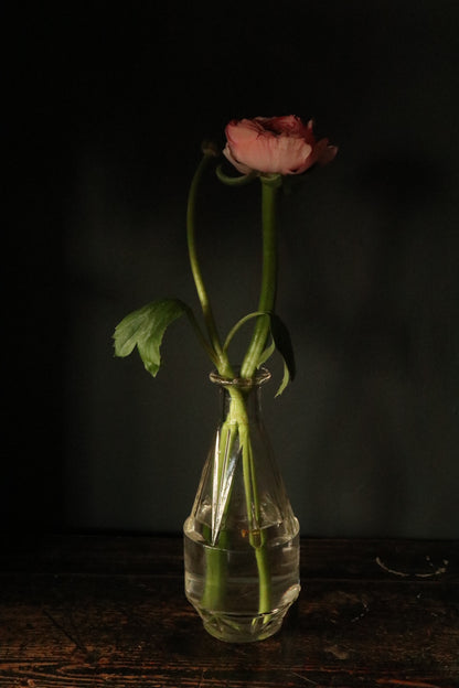 Pair of Carafes Vases