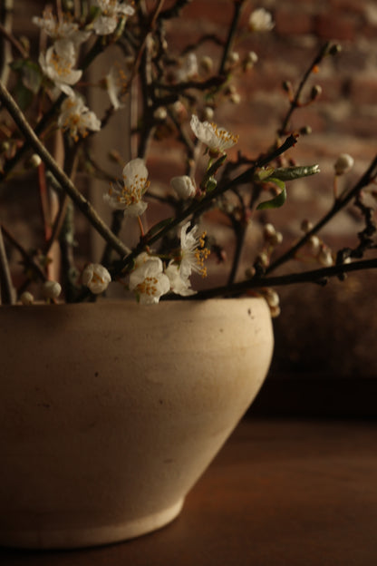 Unglazed Cream Curved Belly Bowl